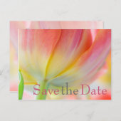Kleuren van Spring Tulip Save the Date Briefkaart (Voorkant / Achterkant)