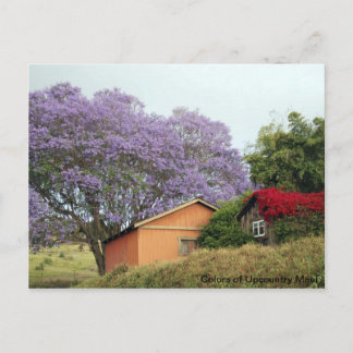 Kleuren van Up Country Maui Briefkaart