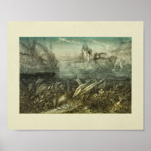 Kleurenafdrukken van zeeweed Explorers Poster