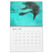 Kleurenagenda Kalender (Feb 2026)