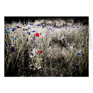 Kleurengeïsoleerde bloerkaart