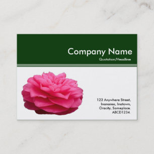 Kleurenkopbal III - Roze Camellia - Donkergroen Visitekaartje