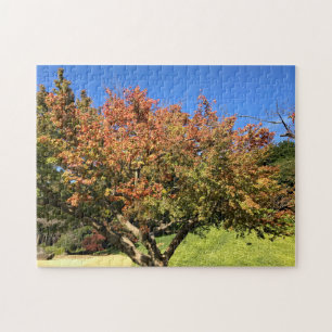 Kleurenmaasboom Legpuzzel