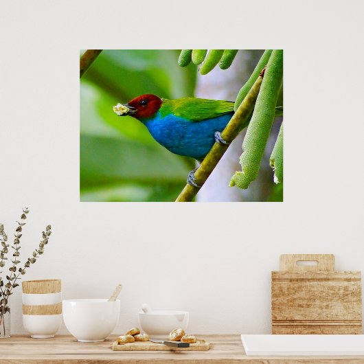 Kleurenmengsel Poster (Keuken)