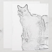 Kleurenpagina - Kat met spillen van garen (Voorkant / Achterkant)