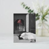 Kleurenplash Cat Briefkaart (Staand voorkant)