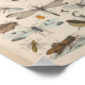 kleurenscharnierende insecten afdrukken poster (Hoek)