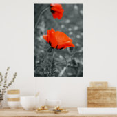 Kleurensleutel Poppy Poster (Keuken)