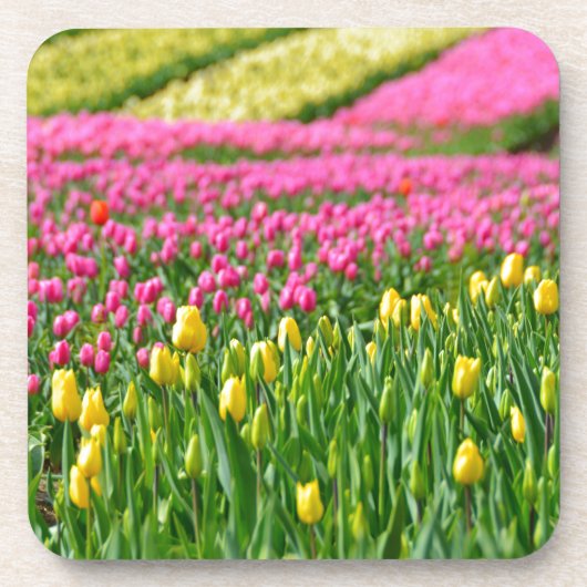 Kleurenvelden Drankjes Onderzetter (Voorkant)