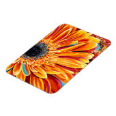 Kleurenverbranding II Magneet (Linkerzijde)