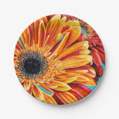 Kleurenverbranding II Papieren Bordje (Voorkant)