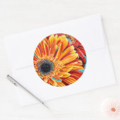 Kleurenverbranding II Ronde Sticker (Envelop)