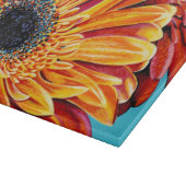 Kleurenverbranding II Snijplank (Hoek)