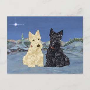 Kleurharige Zwarte Scotties Kerstmis Feestdagenkaart