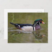 Kleurhouteend Briefkaart (Voorkant / Achterkant)