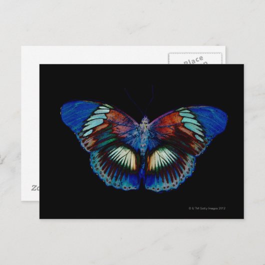 Kleurig Butterfly-ontwerp tegen zwarte achtergrond Briefkaart (Voorkant / Achterkant)