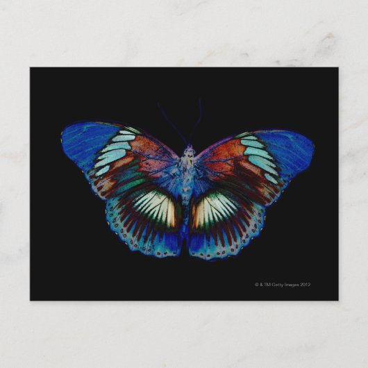 Kleurig Butterfly-ontwerp tegen zwarte achtergrond Briefkaart (Voorkant)