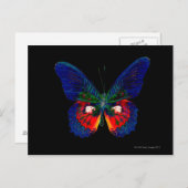 Kleurig Butterfly-ontwerp tegen zwarte achtergrond Briefkaart (Voorkant / Achterkant)