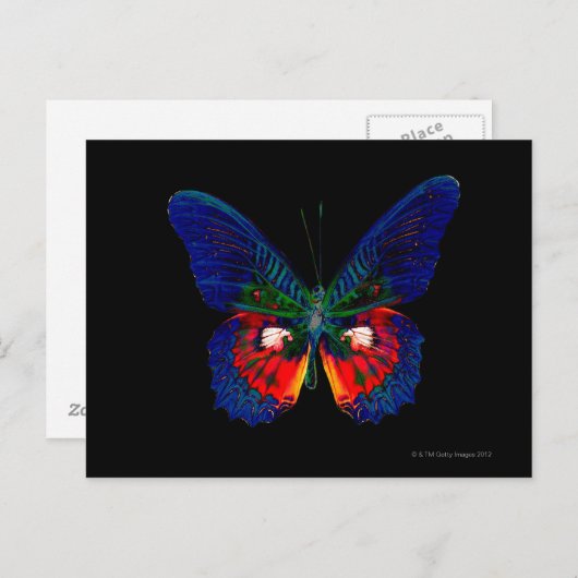 Kleurig Butterfly-ontwerp tegen zwarte achtergrond Briefkaart (Voorkant / Achterkant)