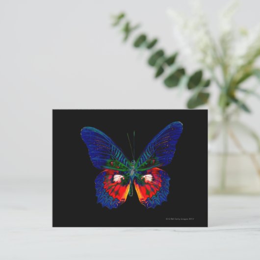 Kleurig Butterfly-ontwerp tegen zwarte achtergrond Briefkaart (Staand voorkant)