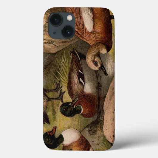 Kleurig schilderij van eenden Case-Mate iPhone case (Achterkant)