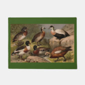 Kleurig schilderij van eenden deurmat (Voorkant)