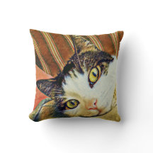 Kleurige kattenworp kussen