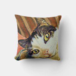 Kleurige kattenworp kussen