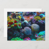 Kleurkoraal Feestdagenkaart (Voorkant / Achterkant)