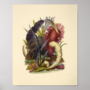 Kleurkoraal Kunststof Ocean Garden Art Afdrukken Poster