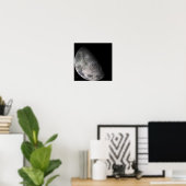 Kleurmozaïek van de maan op aarde poster (Thuiskantoor)