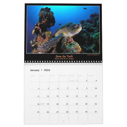 kleuroceanen kalender (Jan 2026)