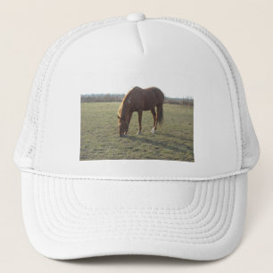 Kleurpaard van kastanje trucker pet
