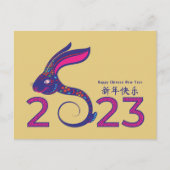 Kleurrijk Chinees Jaar van de Konijn T-Shirt Briefkaart (Voorkant)