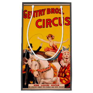  kleurrijk Circus Performer Poster Klein Cadeauzakje
