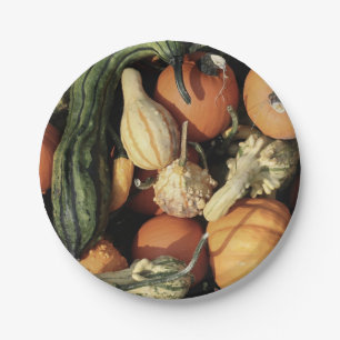 Kleurrijk Collectie van de herfst Papieren Bordje