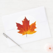 Kleurrijk esdoornblad ronde sticker (Envelop)