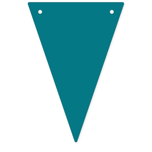 Kleurrijk feest verjaardagsfeest trouw vlaggetjes (Eerste vlag)