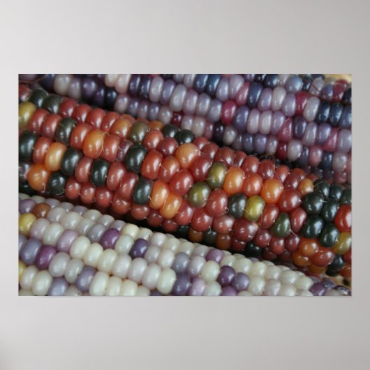 Kleurrijk Gem Corn op de Cob. Poster (Voorkant)