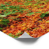 Kleurrijk Herfstpad Poster (Hoek)