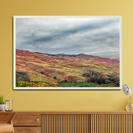 kleurrijk kaal heuvellandschap en berglandschap poster