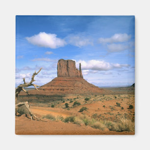 Kleurrijk Monument Valley handschoenen in Utah USA Magneet