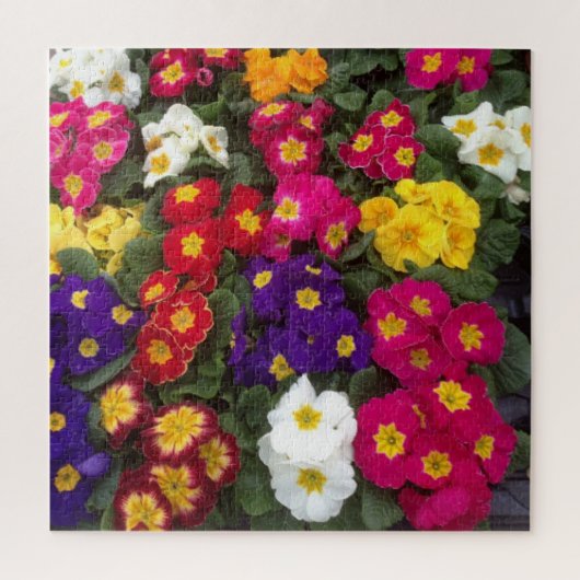 Kleurrijk polyanthus, primroze bloem legpuzzel (Verticaal)