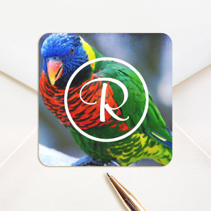 Kleurrijk rood groen blauw loriket vogel monogram vierkante sticker