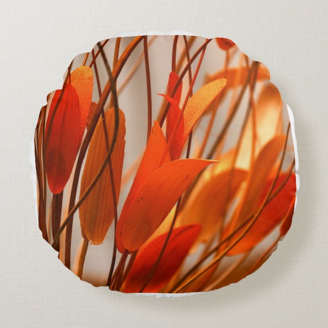 Kleurrijk sinaasappel rond kussen (Voorkant)