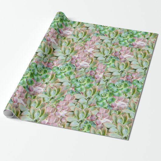 Kleurrijk Succulent Cadeaupapier (Uitgerold)