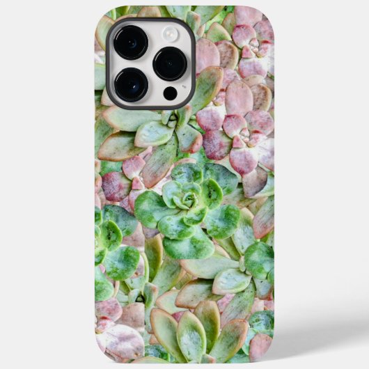 Kleurrijk Succulent Case-Mate iPhone Case (Achterkant)