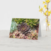 kleurrijk succulent plant kaart (Gele Bloem)