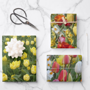 Kleurrijk tulpen- en narcissen-inpakpapier inpakpapier vel