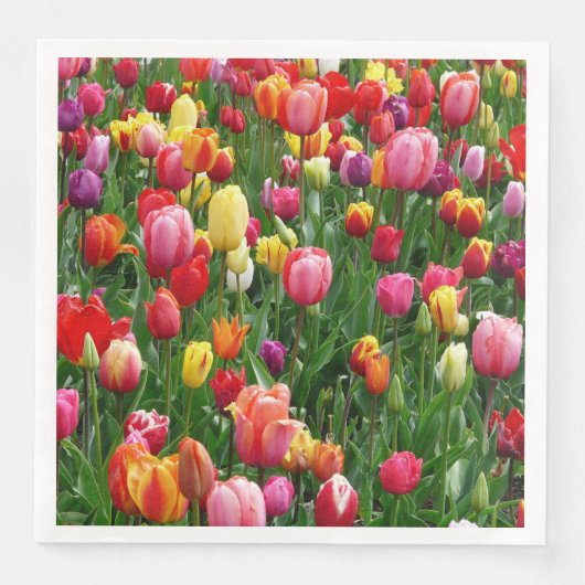 Kleurrijk veld van tulpen bloemen papier servetten (Voorkant)